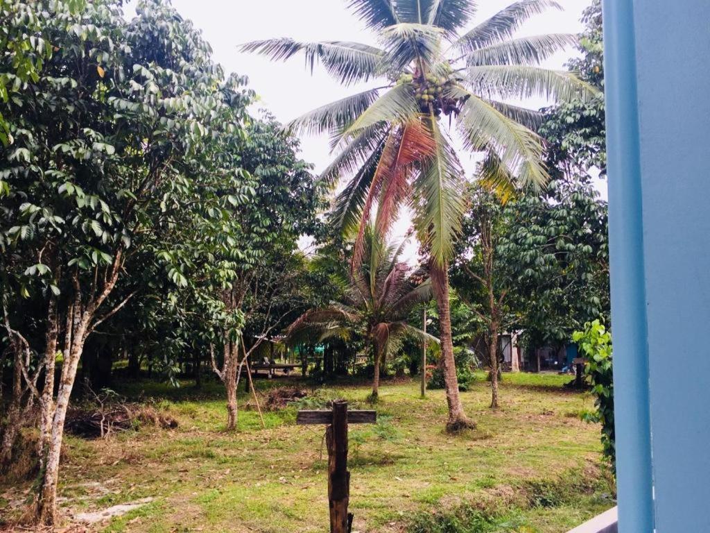 Appartement Baan Kalaya Garden à Ban Mai Extérieur photo